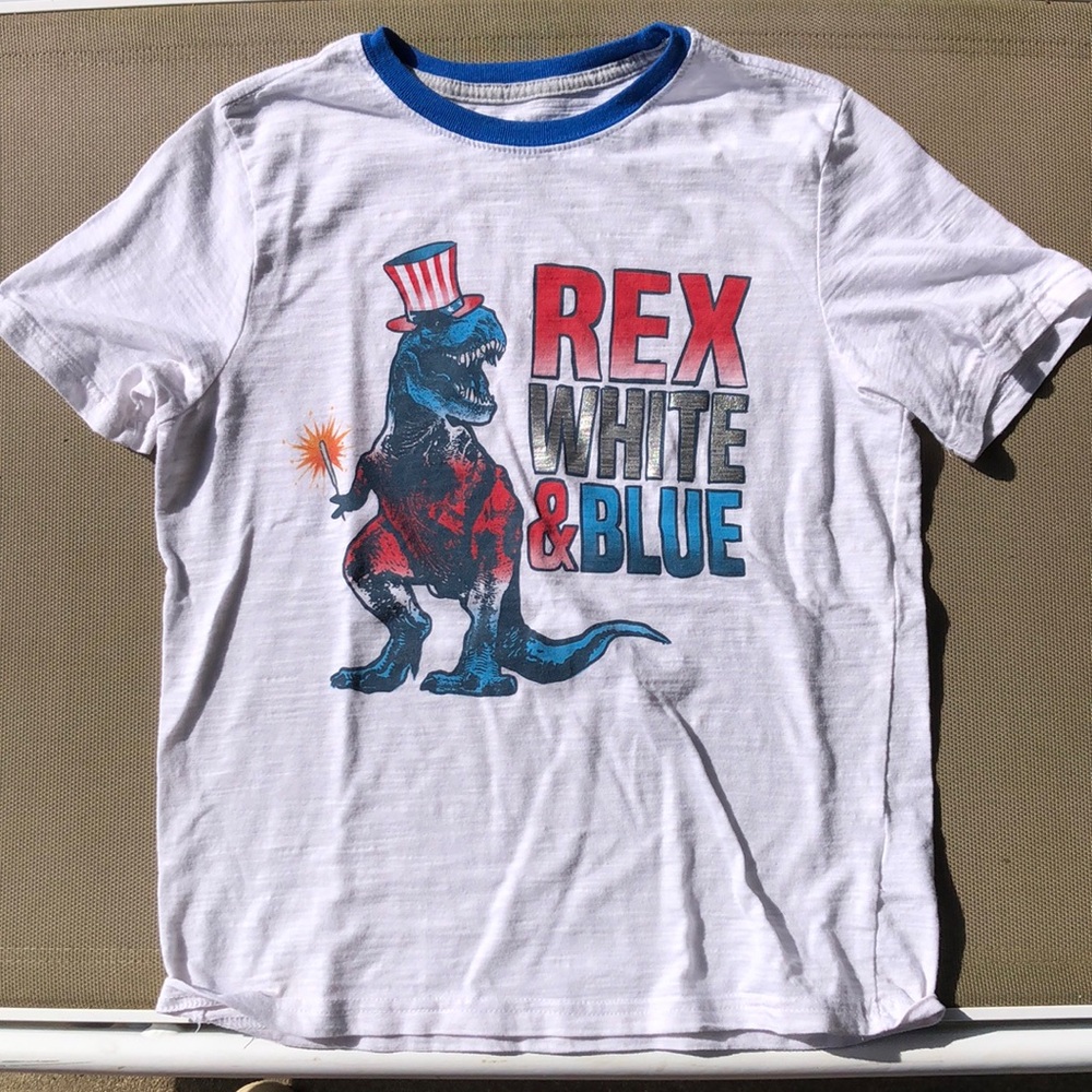Boys 4th of July T-Rex T-Shirt